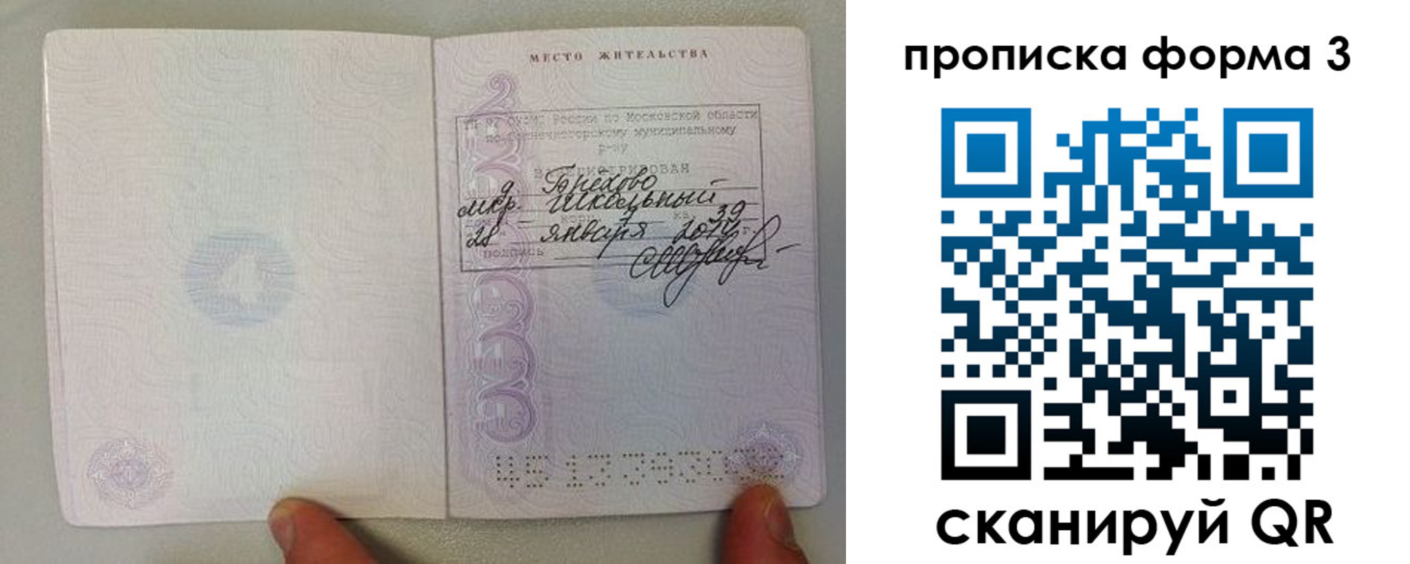 прописка гарантия в Зиме